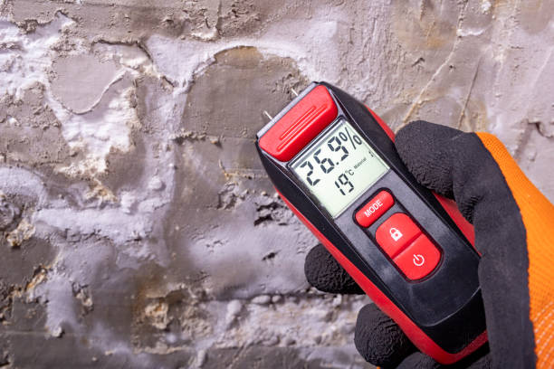 Best Attic Mold Removal  in Grand Haven, MI